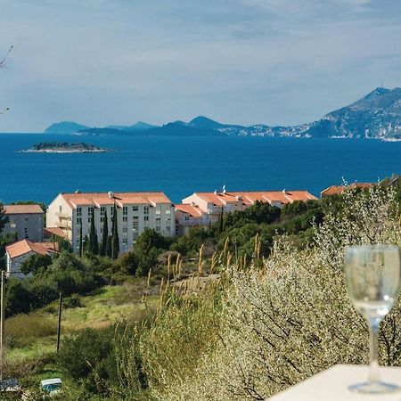 Nice Apartment In Cavtat With Wifi Eksteriør bilde